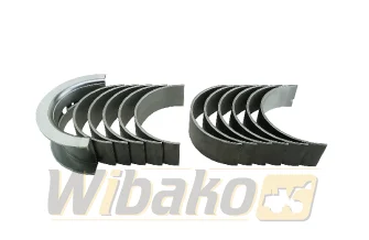 Main bearings 0.25 wbk 3802071