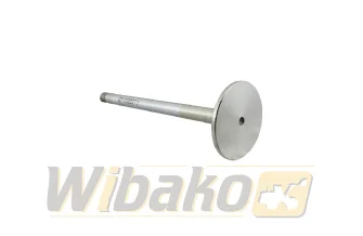 Exhaust valve TRW 22220
