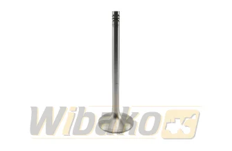 Inlet valve TRW 22221