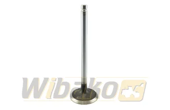 Exhaust valve wbk 3802356