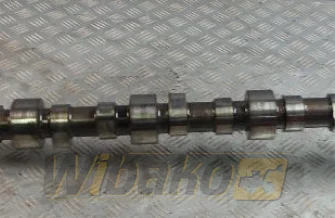 Camshaft for engine Cummins QSL9 