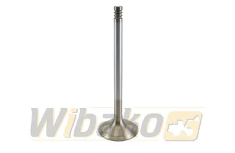 Inlet valve TRW 22314