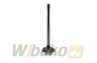 Exhaust valve TRW 22308