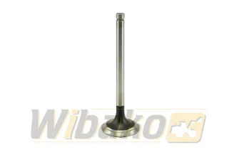 Inlet valve TRW 105-35609