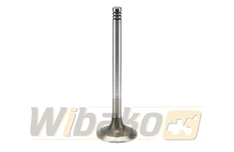 Inlet valve TRW 22244