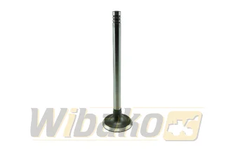 Exhaust valve TRW 22247