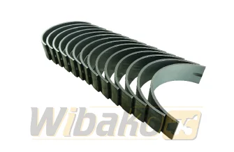 Main bearings STD Kolbenschmidt 37221600