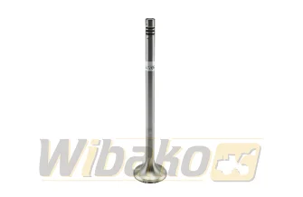 Exhaust valve TRW 22301