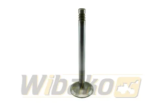 Inlet valve TRW 22304