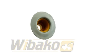 Valve seal wbk 3955393