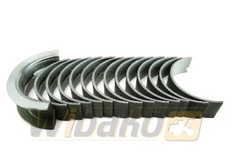Main bearings STD Kolbenschmidt 77798600