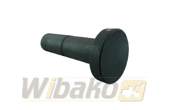 Tappet ⌀18/33mm BF Original 20100390660