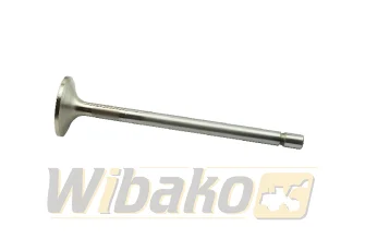 Inlet valve TRW 160056