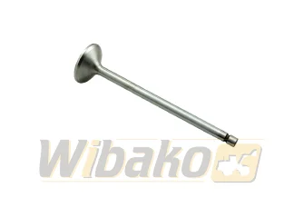 Exhaust valve TRW 160057