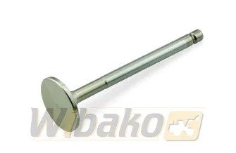 Inlet valve TRW 16200