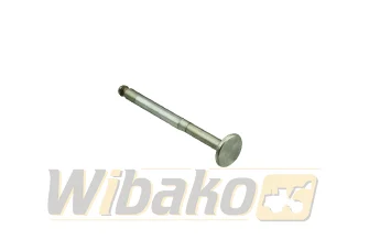 Exhaust valve Kolbenschmidt 50009053