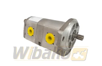 Gear pump Rexroth G241/08+05LR20MR 