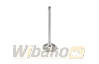 Inlet valve wbk 9279965