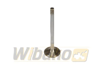 Inlet valve wbk 9279578