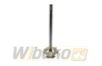 Exhaust valve wbk 9882724