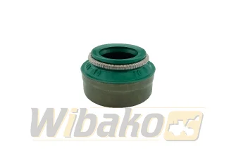 Valve seal wbk 10003044