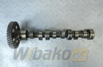 Camshaft for engine Yanmar 3TNE74 119629-14580