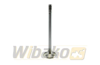 Exhaust valve wbk BF1011 04170899