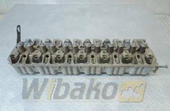 Cylinder head for engine Deutz BF6M1013 