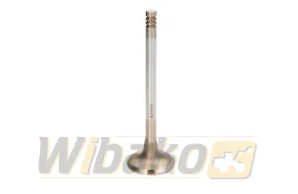Crankshaft STD BF Original 20050510156