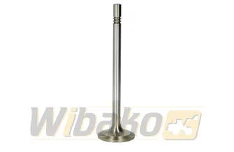 Inlet valve TRW D7 / 2013 22316