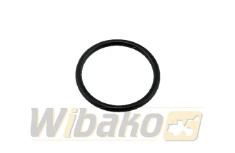 Injector O-ring wbk 7381843 – new (2)
