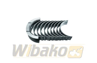 Main bearings KMP 4BT3.9/6BT5.9 4955857