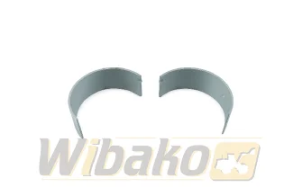 Rod bearings 0.25 wbk 10116934-025