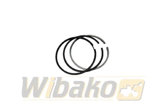 Piston rings Engine / Motor wbk QSL/QSC 4089644