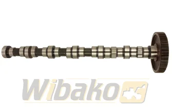 Camshaft BF Original 20100520136