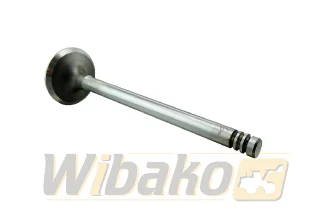 Exhaust valve TRW 22305