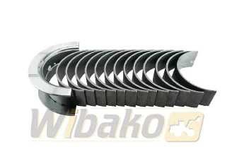 Main bearings STD wbk 4955853