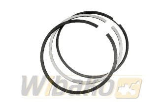 Piston rings 0.50 wbk 4955480