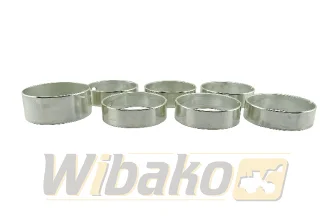 Bearings SEMI Kolbenschmidt 77543690