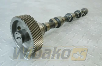 Camshaft for engine Perkins 700 3141D144