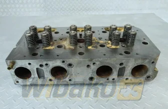 Cylinder head for engine Harvester TD25 A682925C1