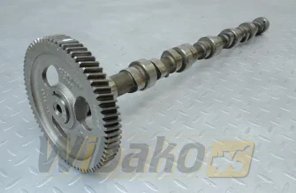 Camshaft for engine Cummins 5.9 3914639