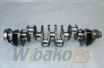 Crankshaft for engine Cummins 5.9 3907804