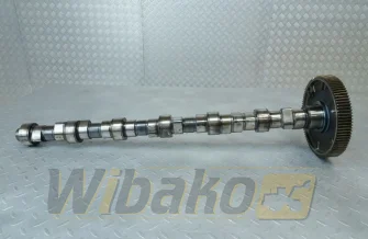 Camshaft for engine Deutz TCD2013 L06 2V 04511872
