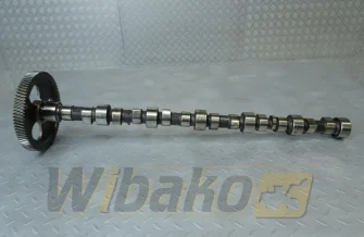 Camshaft for engine Cummins 8.3 3924471