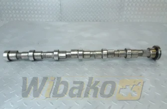 Camshaft for engine Cummins QSB6.7 3979506