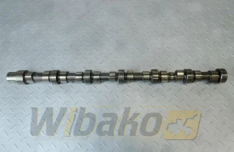 Camshaft for engine Cummins 5.9 3929886