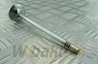 Inlet valve TRW 22318