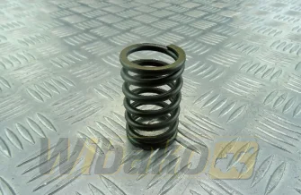 Valve spring wbk 9271729