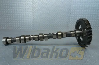 Camshaft for engine Cummins 3.9 3929885